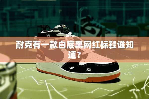 耐克有一款白底黑网红标鞋谁知道？