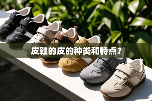 皮鞋的皮的种类和特点？