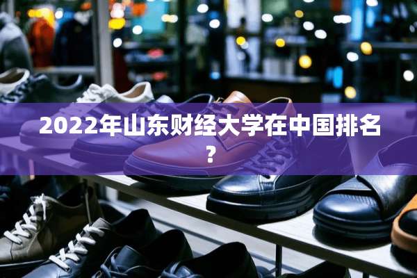 2022年山东财经大学在中国排名？