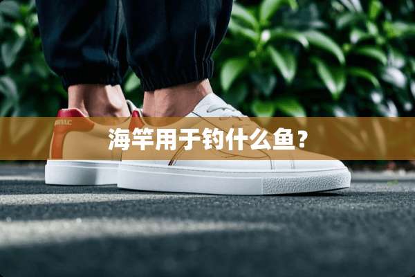 海竿用于钓什么鱼？