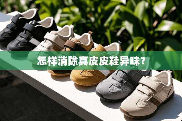 怎样消除真皮皮鞋异味？
