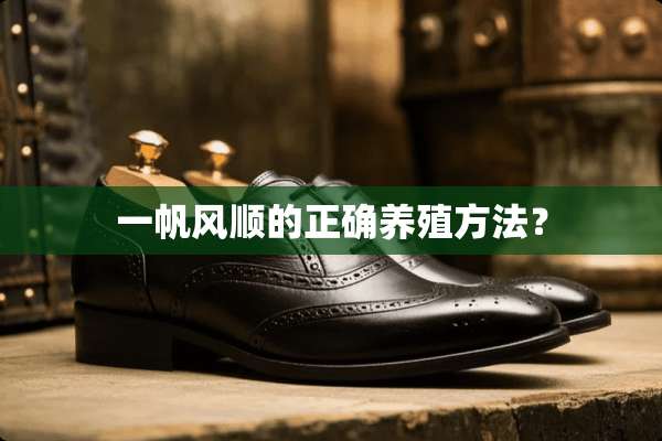 一帆风顺的正确养殖方法？