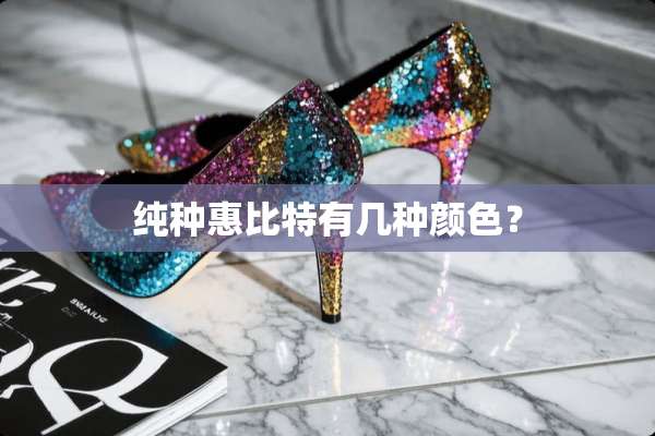 纯种惠比特有几种颜色？