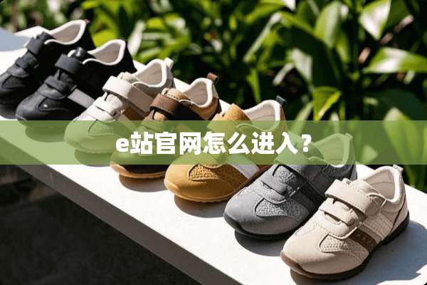 e站官网怎么进入？