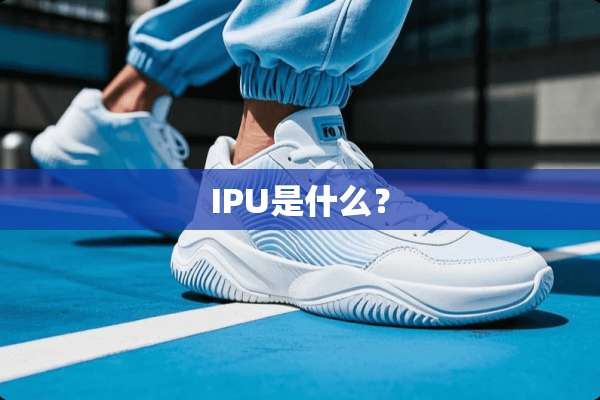 IPU是什么？