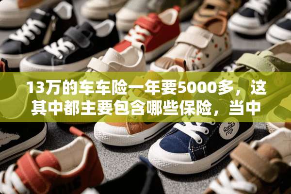 13万的车车险一年要5000多，这其中都主要包含哪些保险，当中哪些是没必要买的？