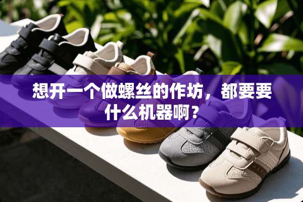想开一个做螺丝的作坊，都要要什么机器啊？