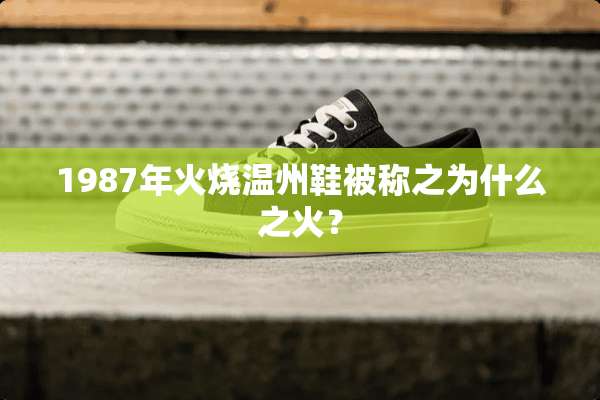 1987年火烧温州鞋被称之为什么之火？