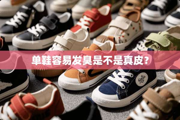 单鞋容易发臭是不是真皮？