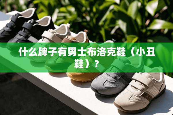 什么牌子有男士布洛克鞋（小丑鞋）？