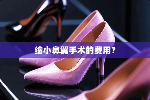 缩小鼻翼手术的费用？
