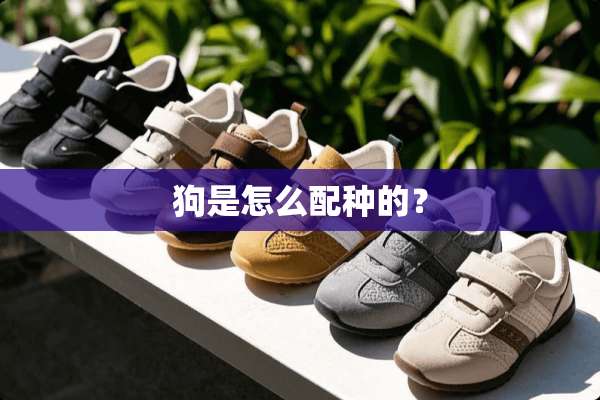 狗是怎么配种的？