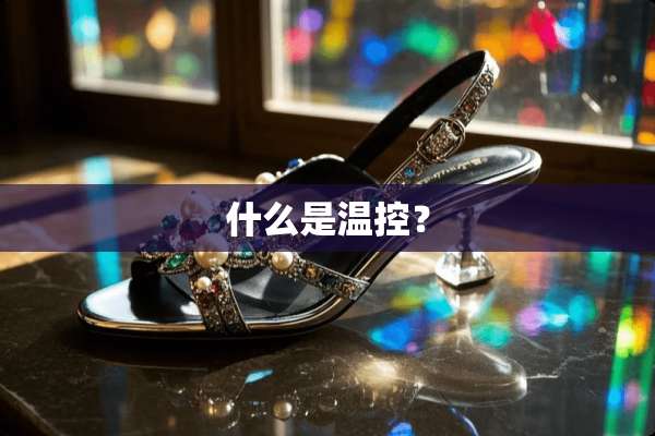 什么是温控？
