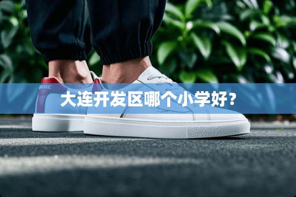 大连开发区哪个小学好？