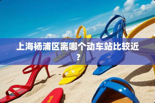 上海杨浦区离哪个动车站比较近？