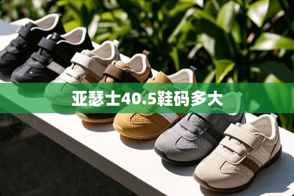 亚瑟士40.5鞋码多大