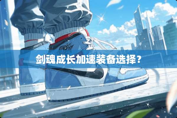 剑魂成长加速装备选择？