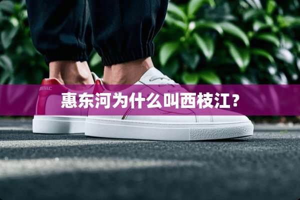 惠东河为什么叫西枝江？