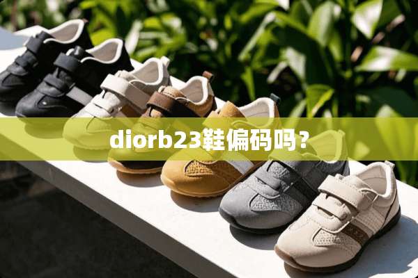 diorb23鞋偏码吗？