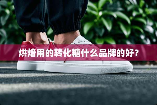 烘焙用的转化糖什么品牌的好？
