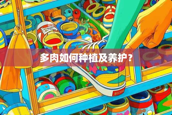 多肉如何种植及养护？