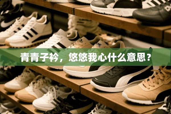 青青子衿，悠悠我心什么意思？