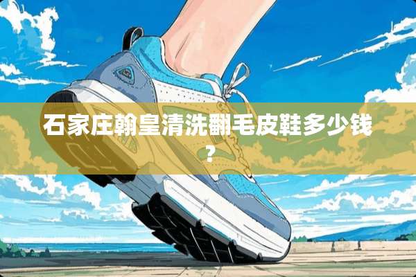 石家庄翰皇清洗翻毛皮鞋多少钱？