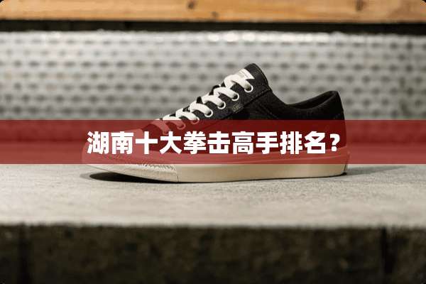湖南十大拳击高手排名？