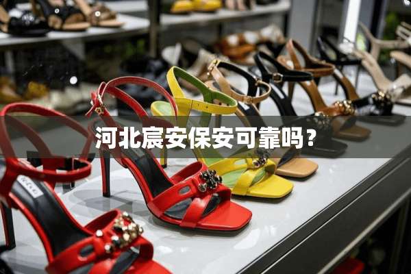河北宸安保安可靠吗？