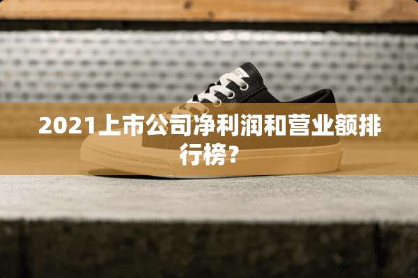 2021上市公司净利润和营业额排行榜？