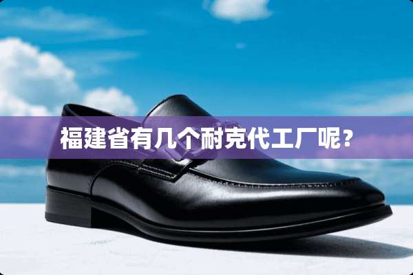 福建省有几个耐克代工厂呢？