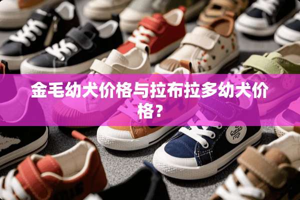 金毛幼犬价格与拉布拉多幼犬价格？