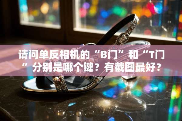 请问单反相机的“B门”和“T门”分别是哪个键？有截图最好？