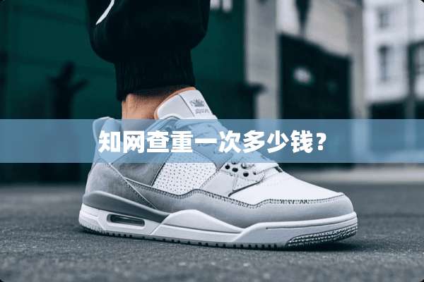 知网查重一次多少钱？