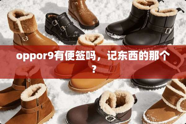 oppor9有便签吗，记东西的那个？