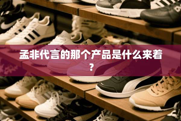 孟非代言的那个产品是什么来着？