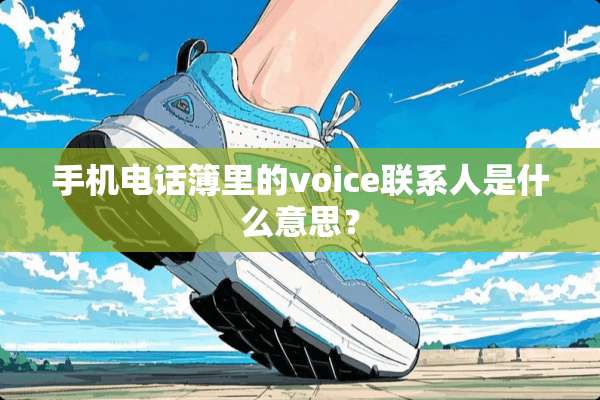 手机电话簿里的voice联系人是什么意思？