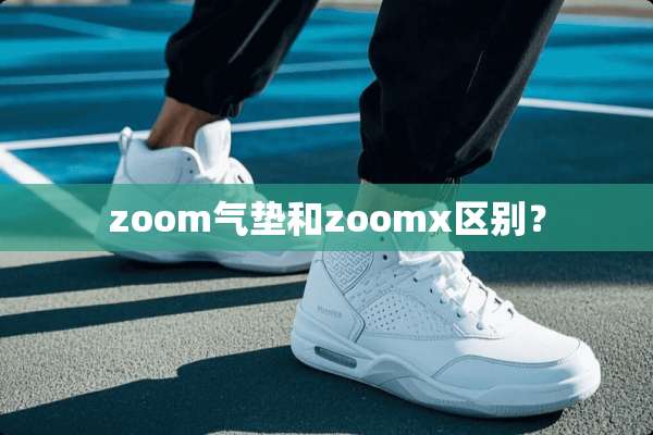 zoom气垫和zoomx区别？