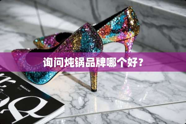 询问炖锅品牌哪个好？