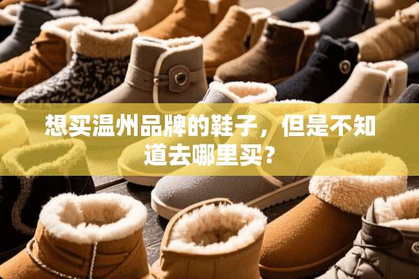 想买温州品牌的鞋子，但是不知道去哪里买？