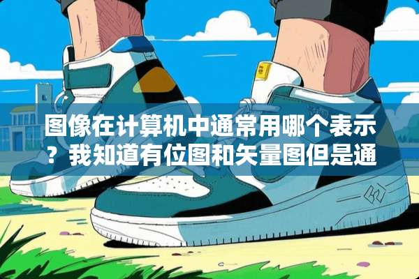 图像在计算机中通常用哪个表示？我知道有位图和矢量图但是通常用哪？