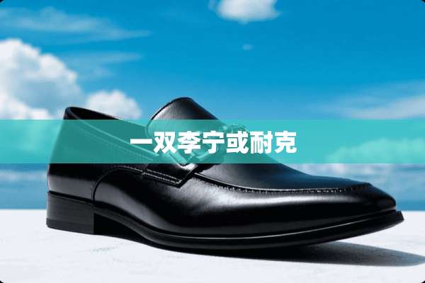一双李宁或耐克