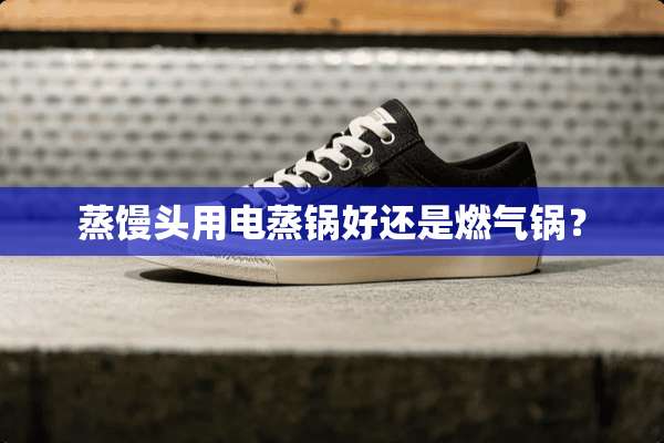 蒸馒头用电蒸锅好还是燃气锅？