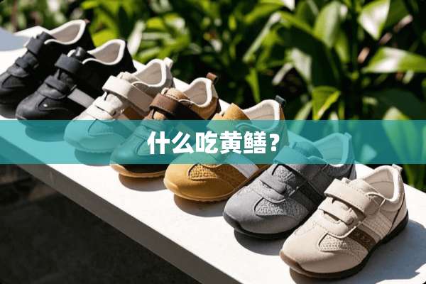什么吃黄鳝？