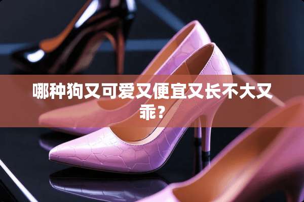 哪种狗又可爱又便宜又长不大又乖？