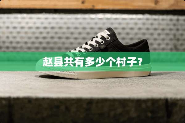 赵县共有多少个村子？