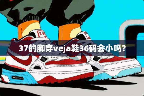 37的脚穿veja鞋36**小吗？