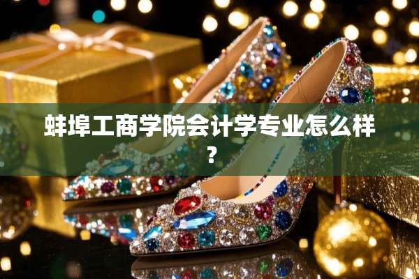 蚌埠工商学院会计学专业怎么样？