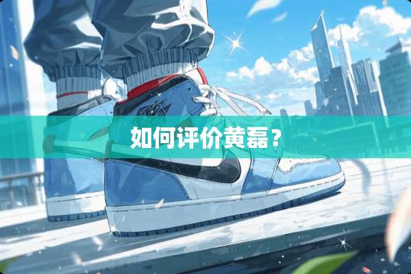 如何评价黄磊？