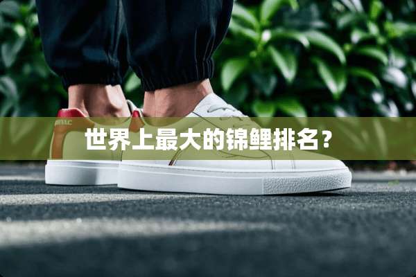 世界上最大的锦鲤排名？